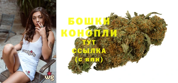 ECSTASY Краснослободск