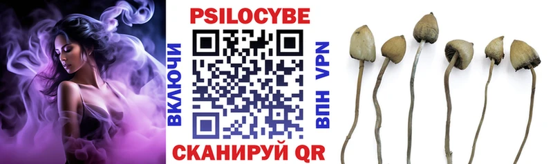 Псилоцибиновые грибы Cubensis  купить   Красноуральск 